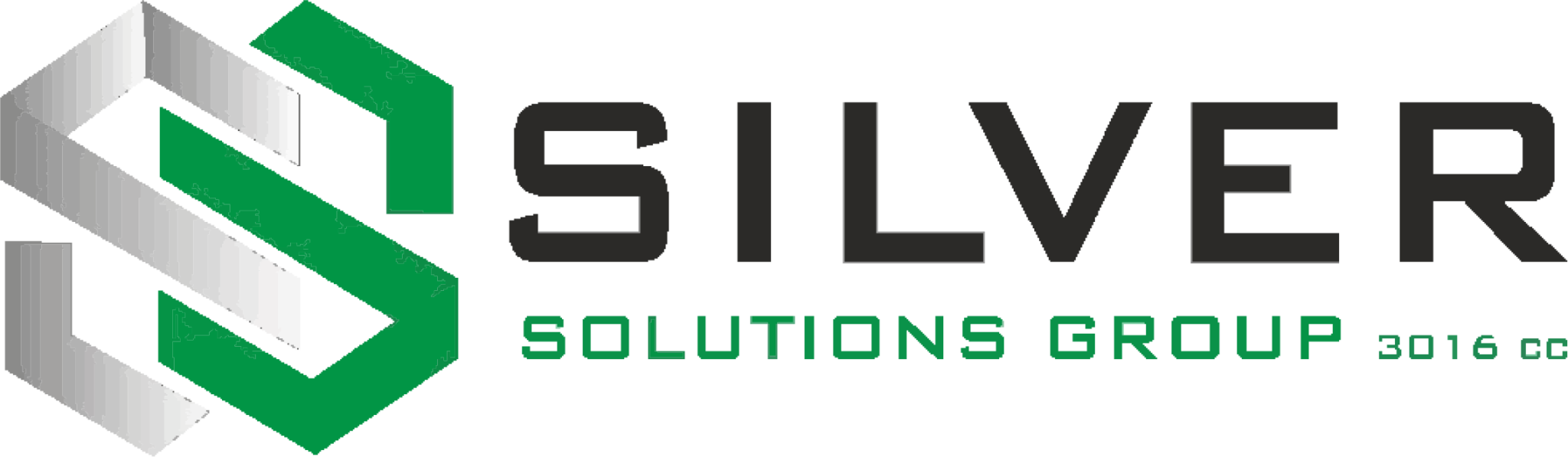 Silver Solutions Group – Conceptualizing our client's vision